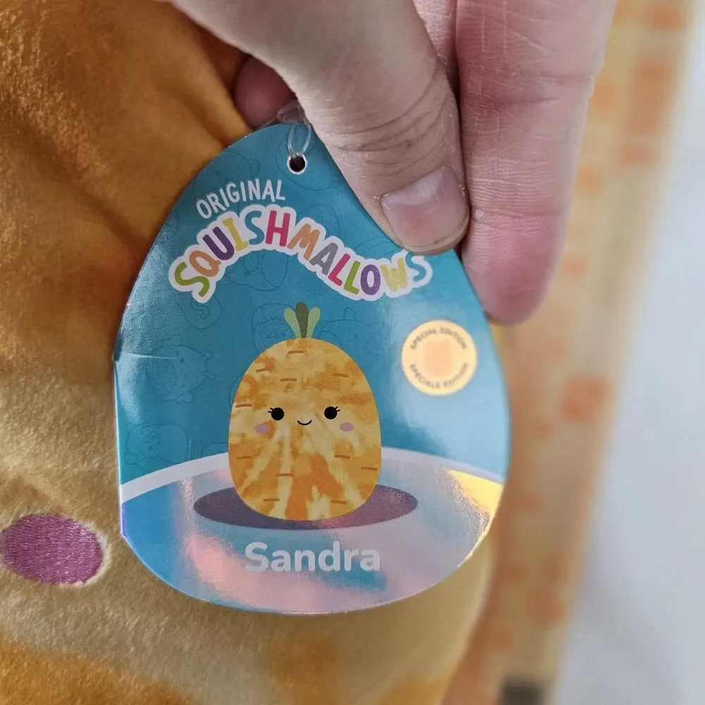 Squishmallows sandra carrot